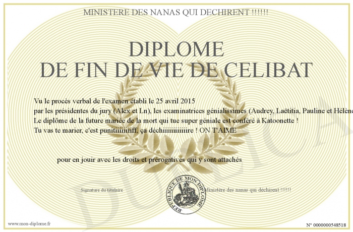 Diplome de fin de vie de célibataire gratuit